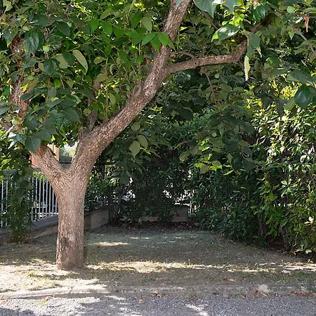 Apartamento La Casa Di Ambra Chianciano Terme